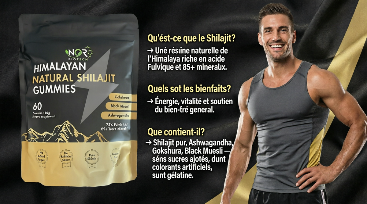 Gummies Shilajit Himalayen – 60 Gummies NOR BIOTECH