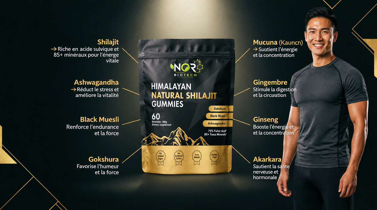 Gummies Shilajit Himalayen – 60 Gummies NOR BIOTECH