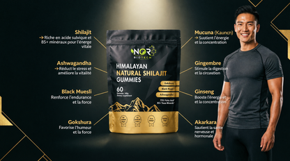 Gummies Shilajit Himalayen – 60 Gummies NOR BIOTECH