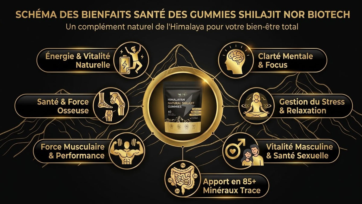 Gummies Shilajit Himalayen – 60 Gummies NOR BIOTECH